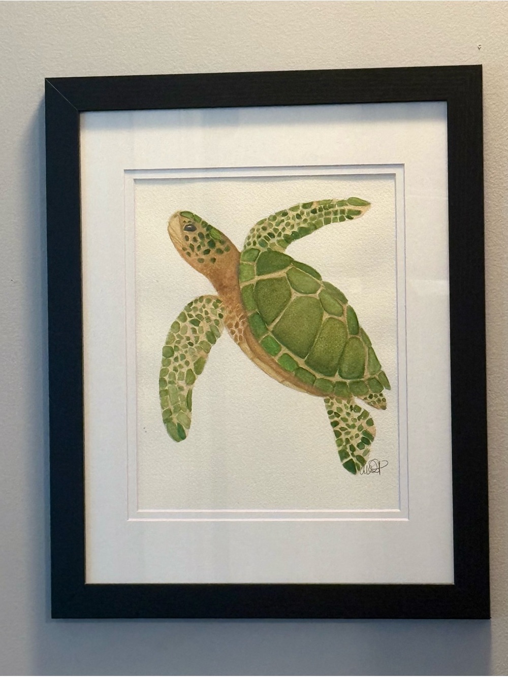 Framed Green Sea Turtle Watercolor Art
